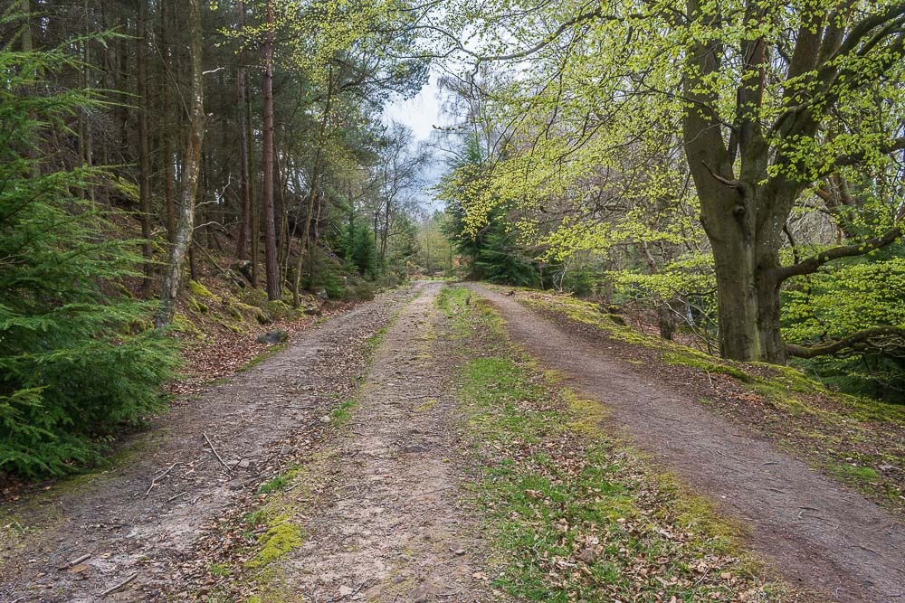 Blue Mill Wood Blue Mill Wood